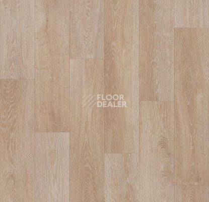 Линолеум Forbo Eternal Wood 11632 light oak фото 1 | FLOORDEALER